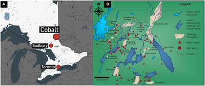 Relationships Between the Microbial Composition and the Geochemistry and Mineralogy of the Cobalt-Bearing Legacy Mine Tailings in Northeastern Ontario